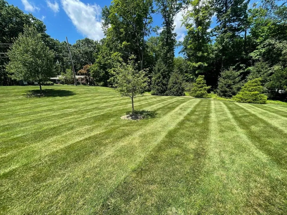 Custom landscape design for year-round maintenance in Mahwah, NJ by Spruce Springs Landscaping