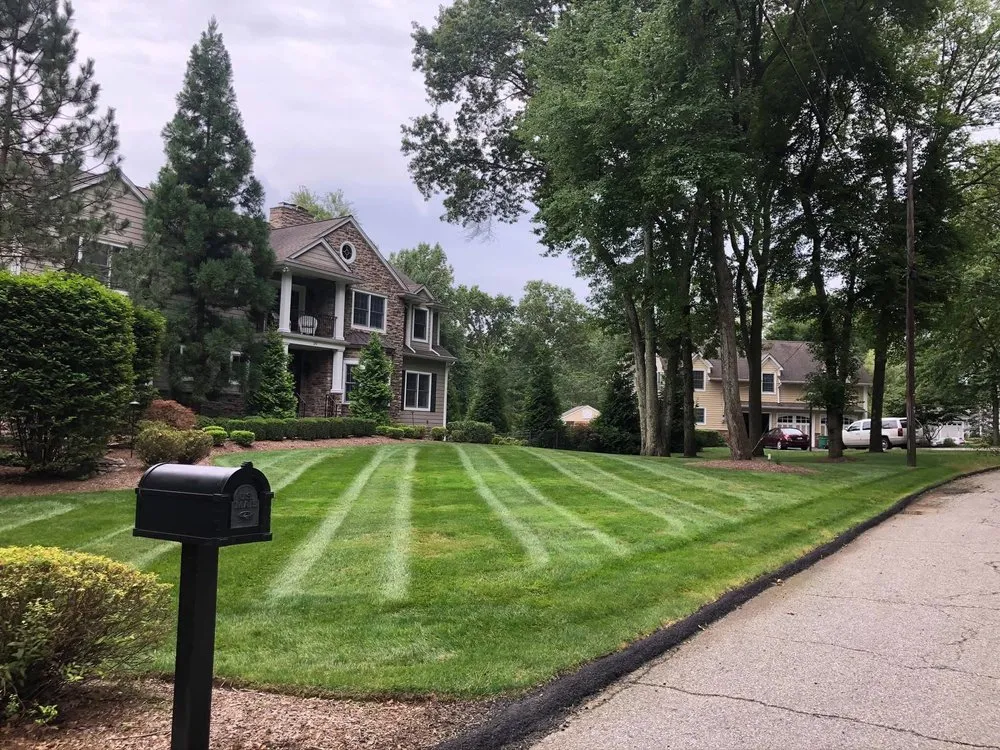 Reliable lawn care service for year-round maintenance across Mahwah, NJ - Spruce Springs Landscaping