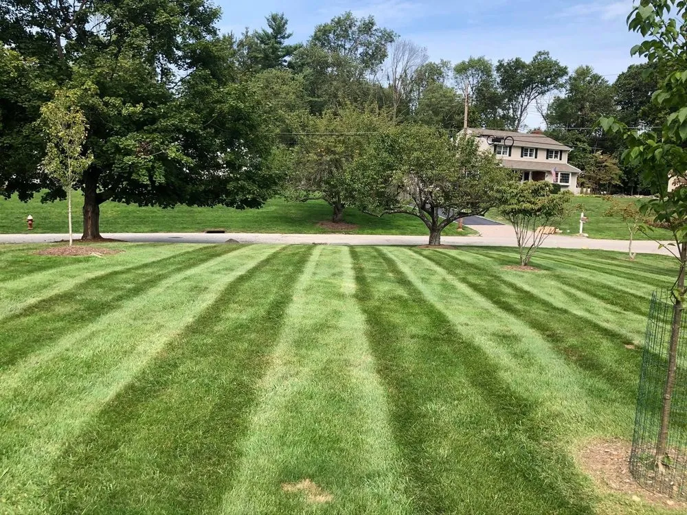 Top-rated landscape design experts serving Mahwah, NJ - Spruce Springs Landscaping