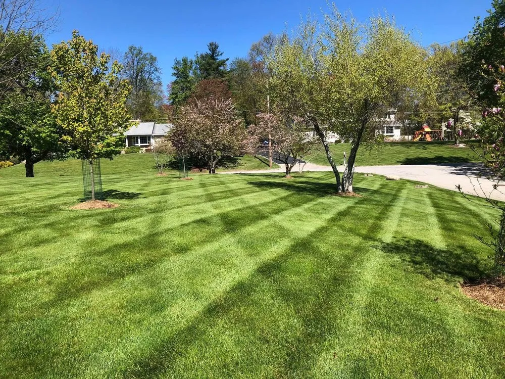Expert yard maintenance for beautiful yards in Mahwah, NJ by Spruce Springs Landscaping