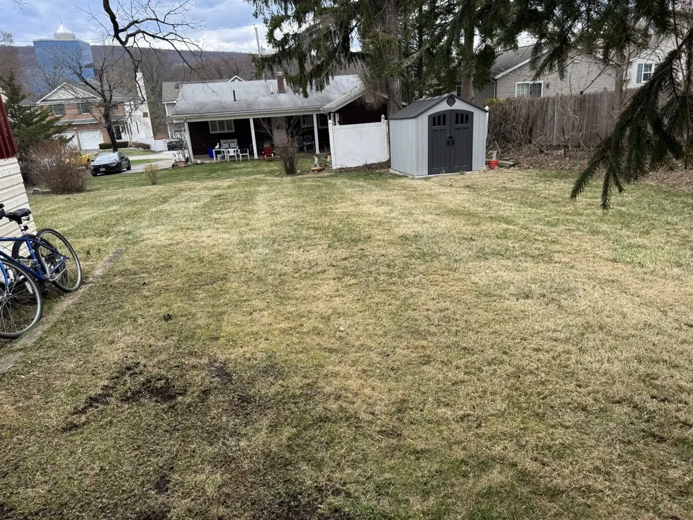 Trusted yard cleanup service experts serving Mahwah, NJ - Spruce Springs Landscaping