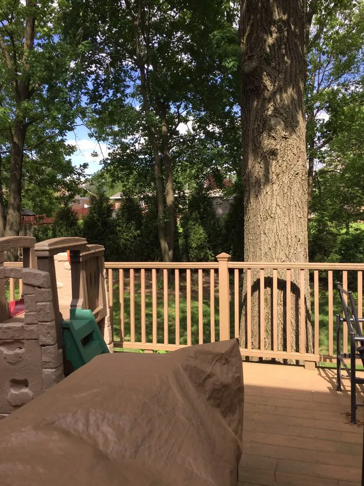 Affordable lawn mowing service for year-round maintenance across Byron Center, MI - Spruce Trees Direct