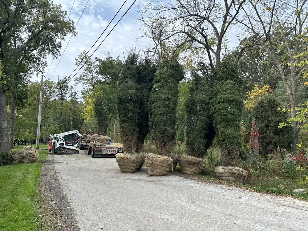 Custom landscaping services for beautiful yards in Byron Center, MI by Spruce Trees Direct