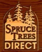Top-rated landscaping services with custom design in Byron Center, MI by Spruce Trees Direct