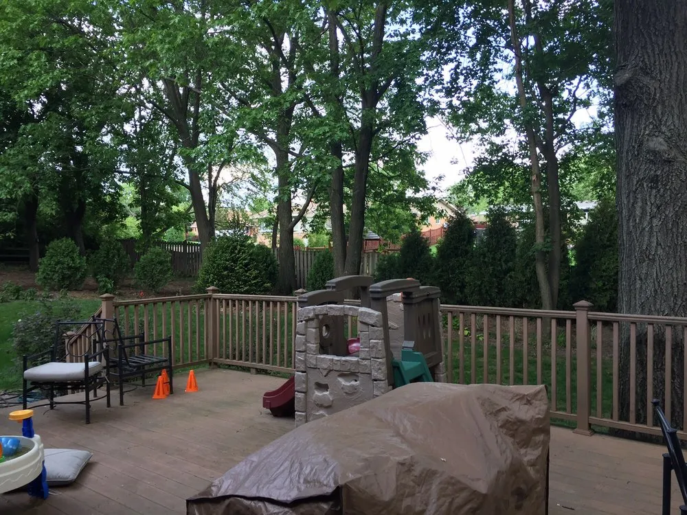 Professional landscape installation in Byron Center, MI by Spruce Trees Direct