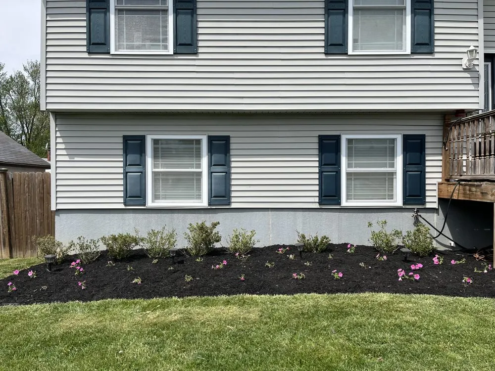 Reliable yard cleanup service experts serving King of Prussia, PA - Spruced Up