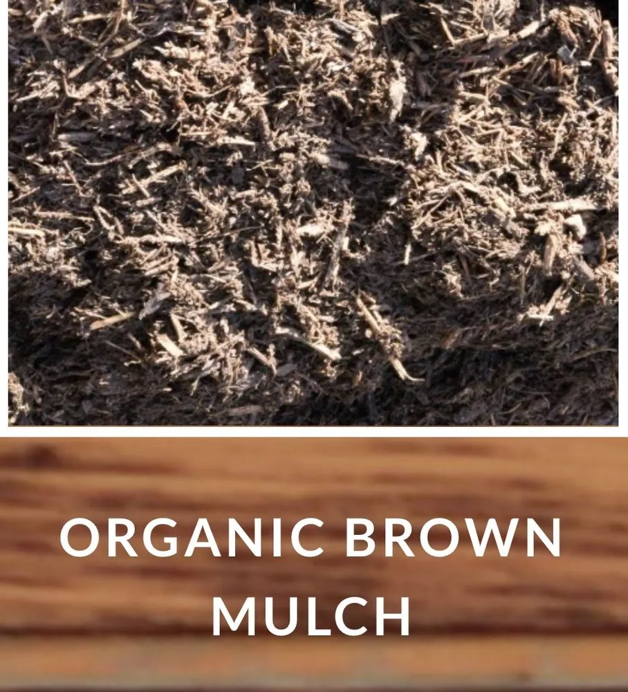 Affordable lawn mowing service experts serving King of Prussia, PA - Spruced Up