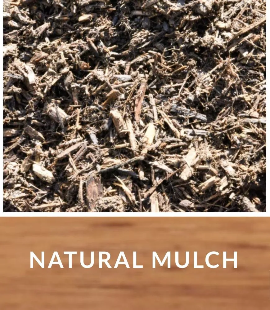 Affordable residential landscaping in King of Prussia, PA by Spruced Up