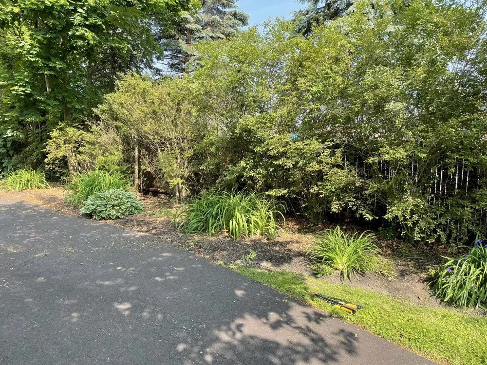 Custom yard cleanup service in King of Prussia, PA - Spruced Up