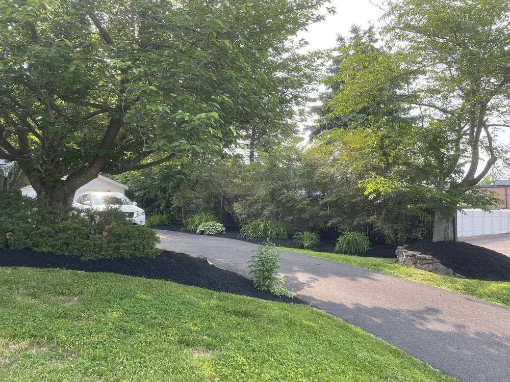 Local landscape design in King of Prussia, PA by Spruced Up