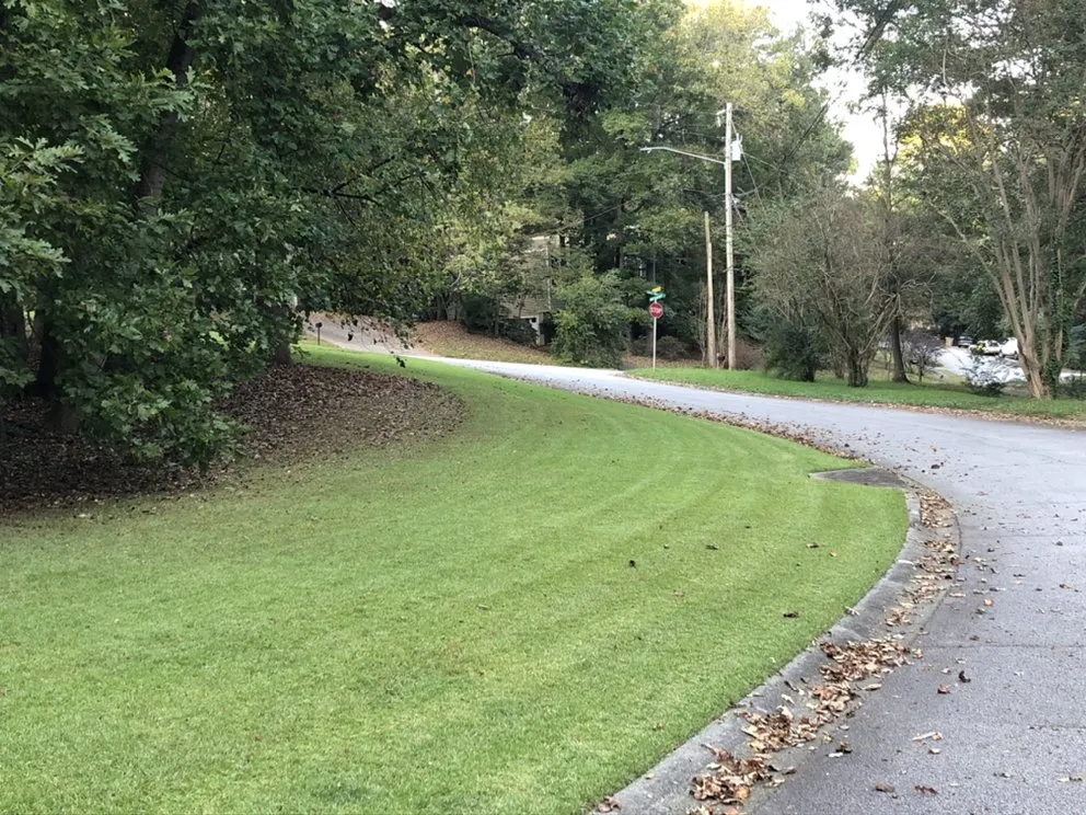 Professional lawn care service for outdoor upgrades across Kennesaw, GA - Sprucing Up GA