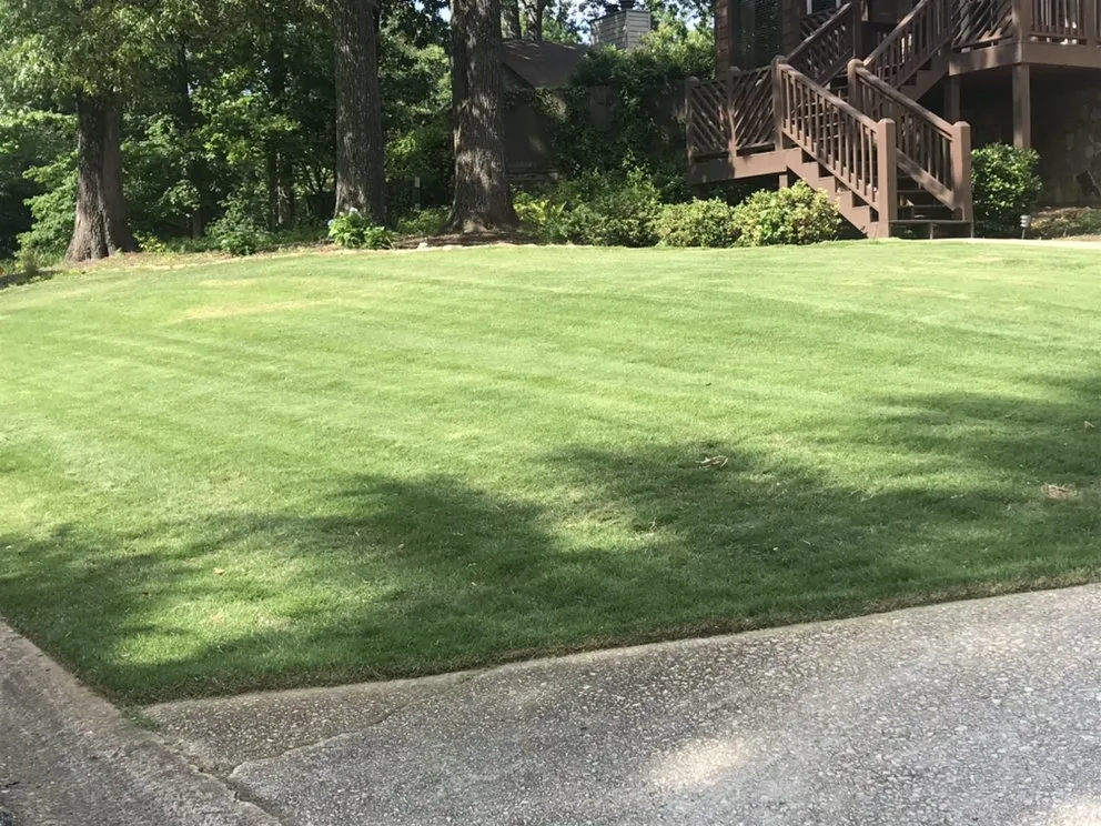 Professional garden landscaping for year-round maintenance across Kennesaw, GA - Sprucing Up GA