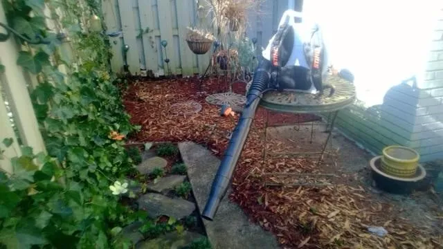 Expert lawn mowing service for homes across Kennesaw, GA - Sprucing Up GA