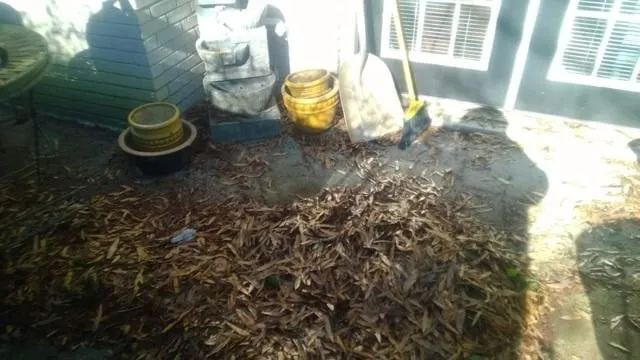 Local residential landscaping in Kennesaw, GA - Sprucing Up GA