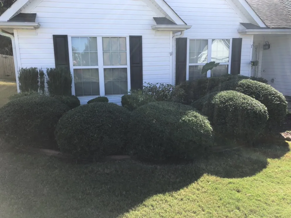 Affordable yard cleanup service in Kennesaw, GA by Sprucing Up GA