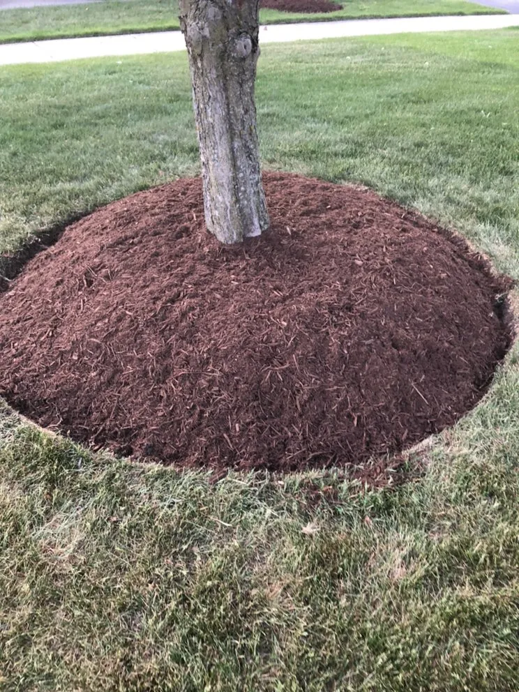 Affordable lawn care service experts serving Streamwood, IL - Sps Landscaping