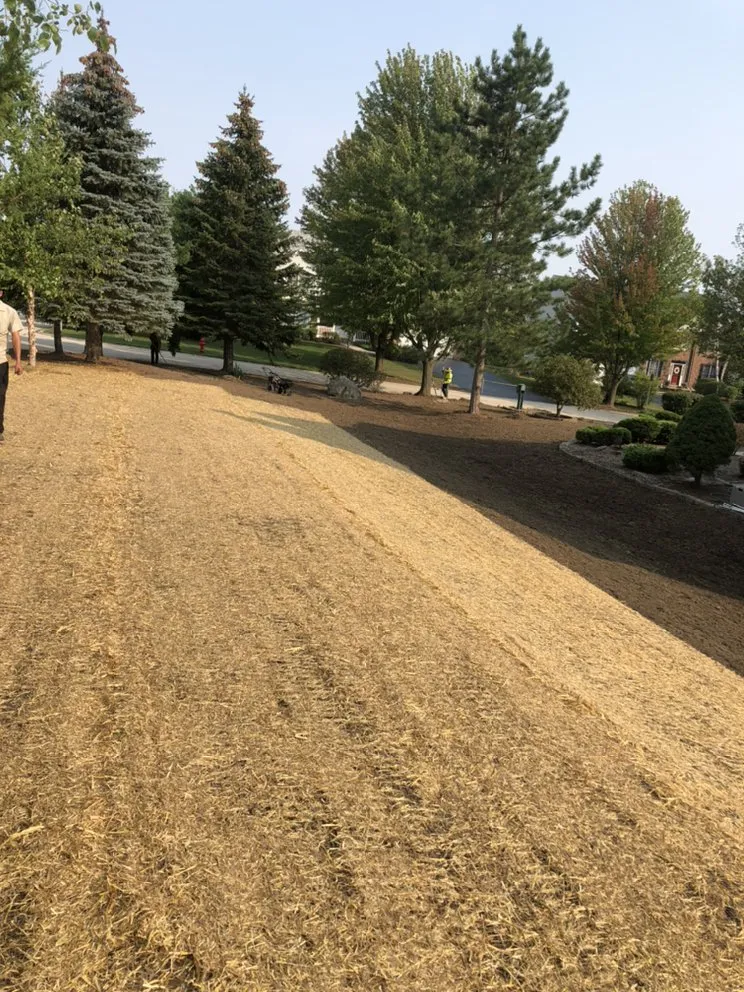 Reliable outdoor landscaping in Streamwood, IL - Sps Landscaping