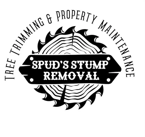 Professional landscape installation experts serving Johannesburg, MI - Spud’s Stump Removal
