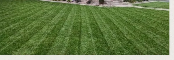 Spurbeck’s Landscape Logo