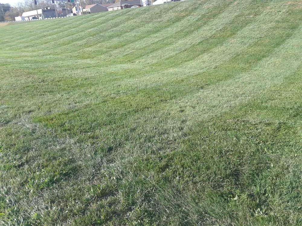 Expert outdoor landscaping in Bunker Hill, IL by Spurgeon Lawn Care Service