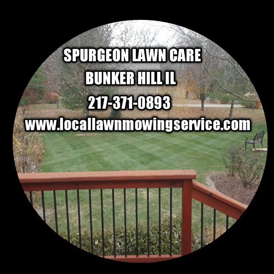 Top-rated yard cleanup service experts serving Bunker Hill, IL - Spurgeon Lawn Care Service