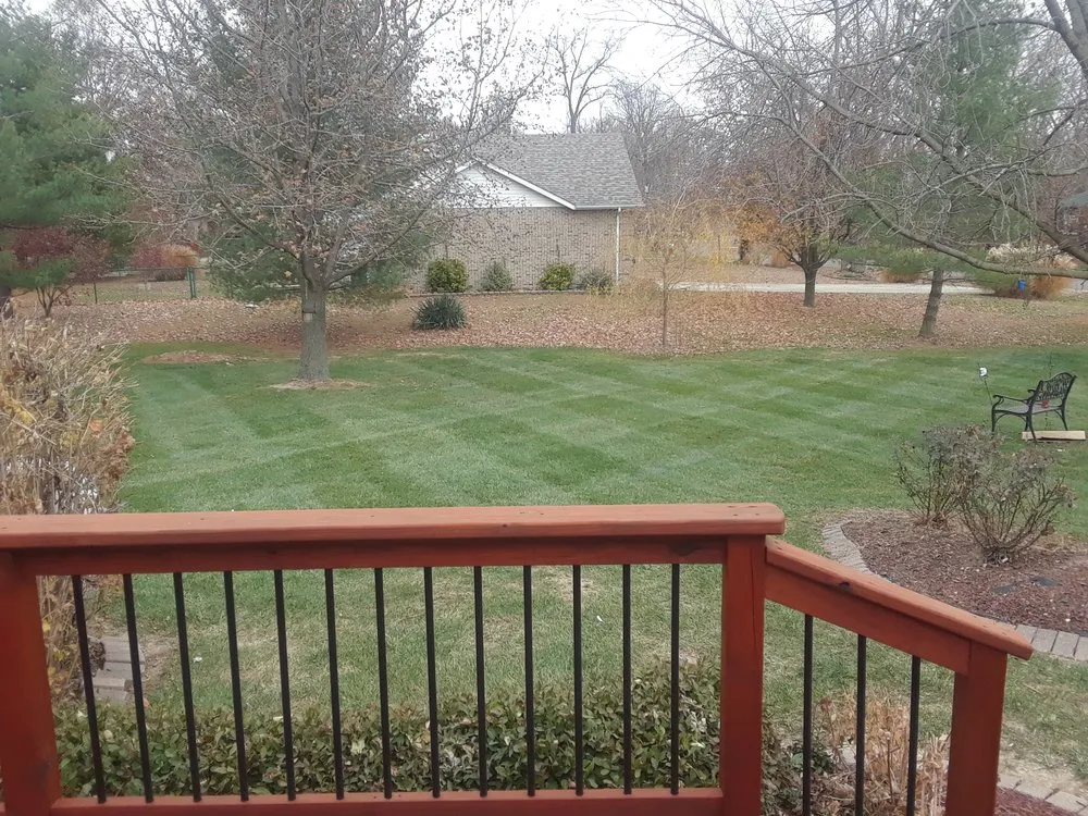 Professional yard cleanup service for year-round maintenance in Bunker Hill, IL by Spurgeon Lawn Care Service