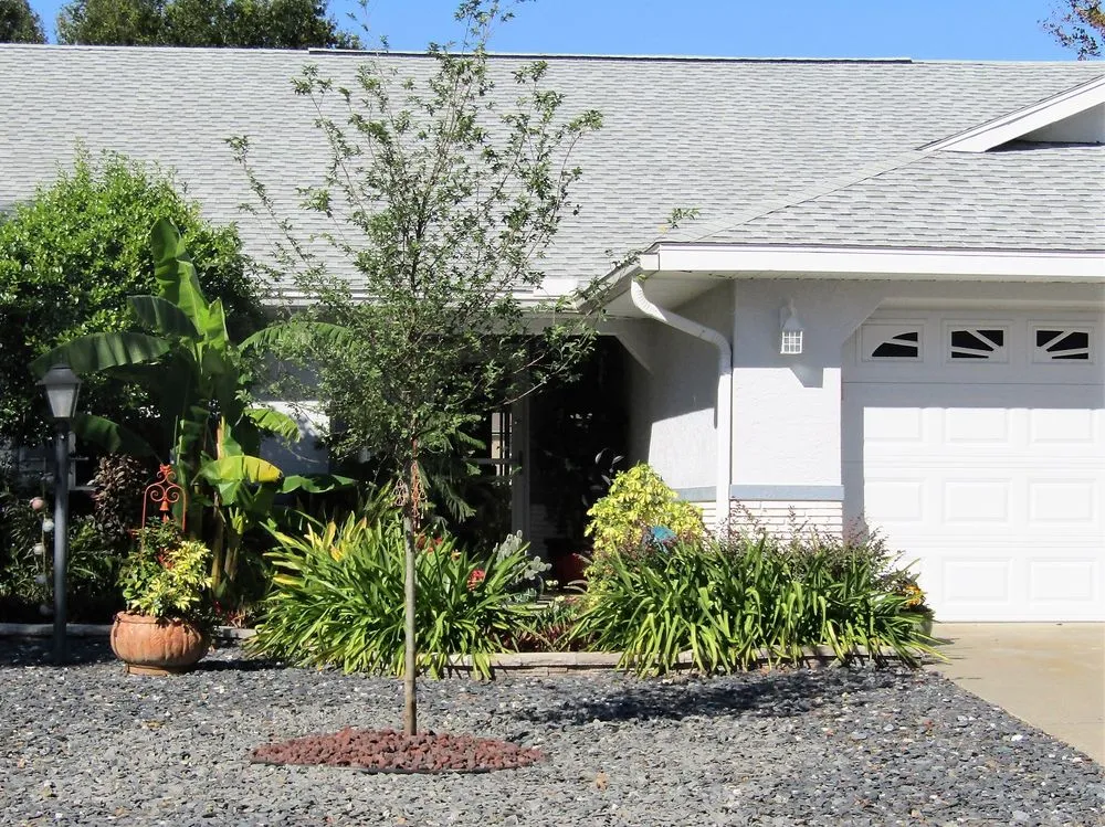 Trusted landscape installation in Ocala, FL - Spurling Landscaping-Nursery