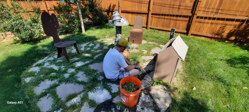 Top-rated landscape design in Delta, CO - Spurlock Immaculate Lawn Care Services