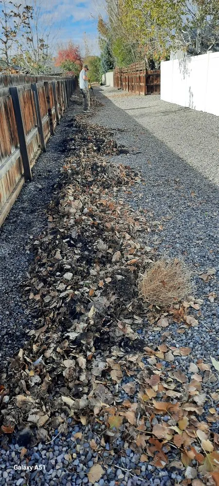 Expert yard cleanup service in Delta, CO - Spurlock Immaculate Lawn Care Services