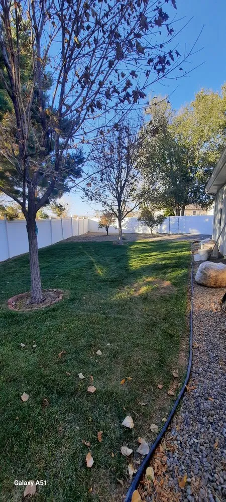 Local lawn care service for beautiful yards across Delta, CO - Spurlock Immaculate Lawn Care Services