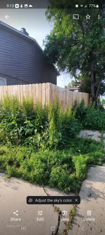 Top-rated lawn mowing service in Delta, CO by Spurlock Immaculate Lawn Care Services