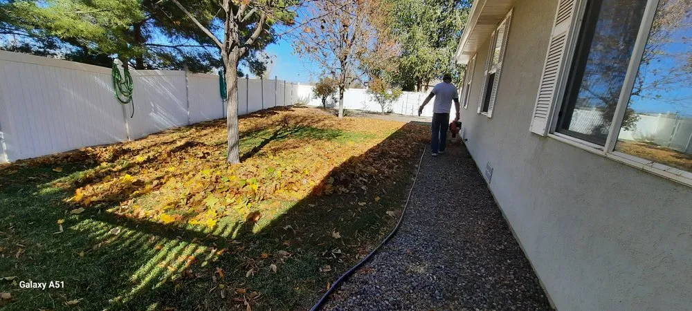 Local yard cleanup service in Delta, CO by Spurlock Immaculate Lawn Care Services