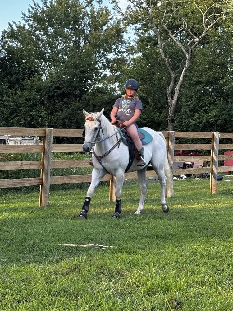 Affordable lawn care service in Springfield, OH - Spurs Plus Sprouts Fencing and Landscaping