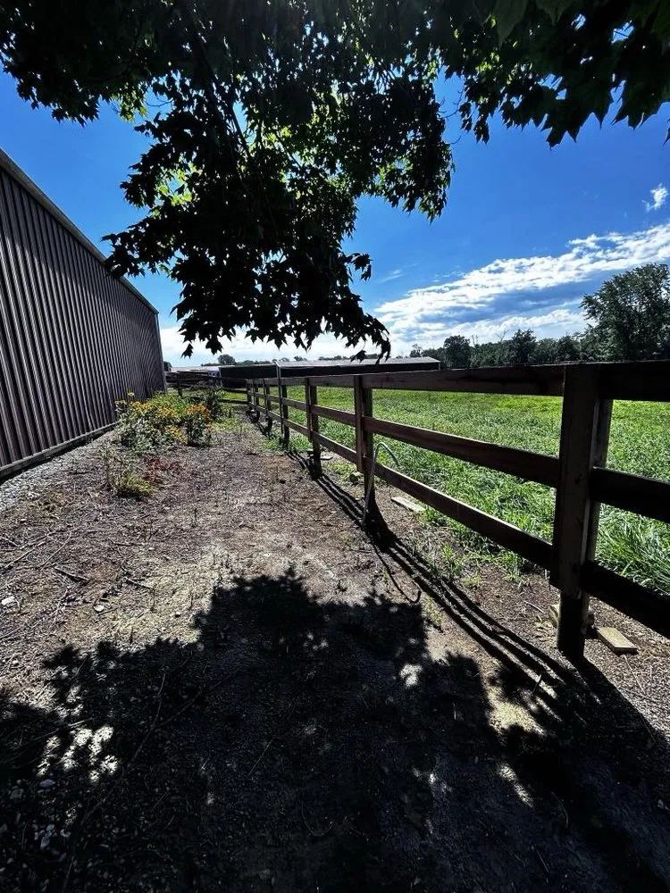 Professional outdoor landscaping for homes across Springfield, OH - Spurs Plus Sprouts Fencing and Landscaping
