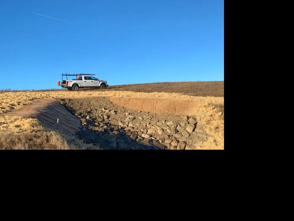 Expert yard cleanup service for year-round maintenance in Petaluma, CA by SPYE General Engineering