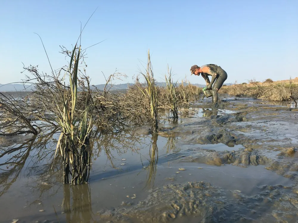 Professional outdoor landscaping for homes across Petaluma, CA - SPYE General Engineering