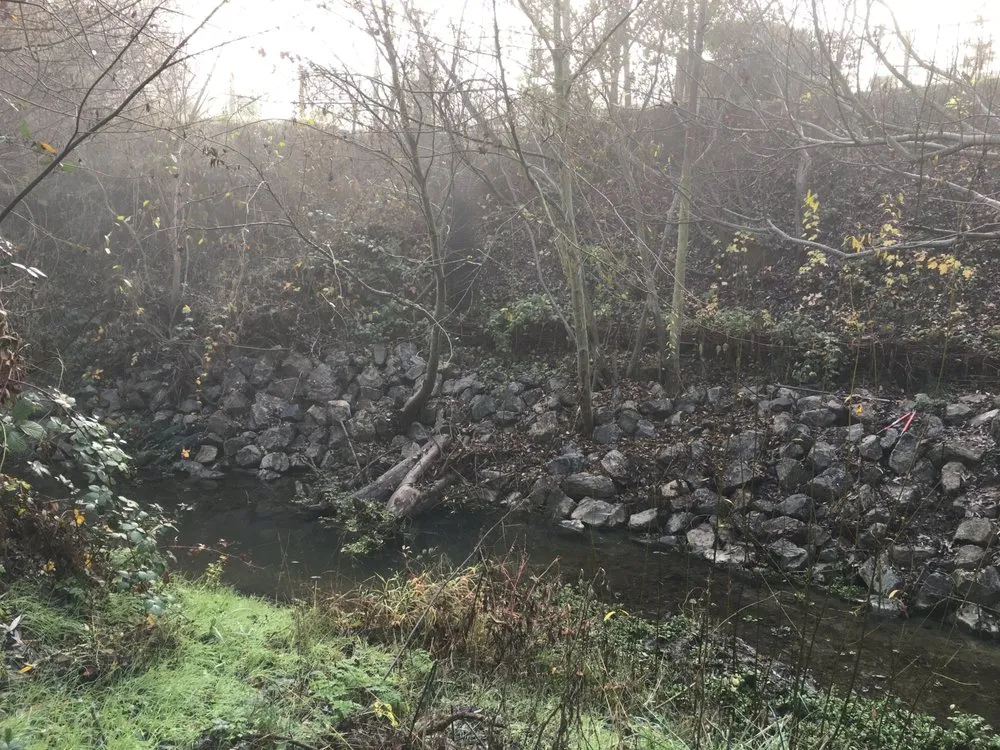 Custom landscaping services for outdoor upgrades in Petaluma, CA by SPYE General Engineering