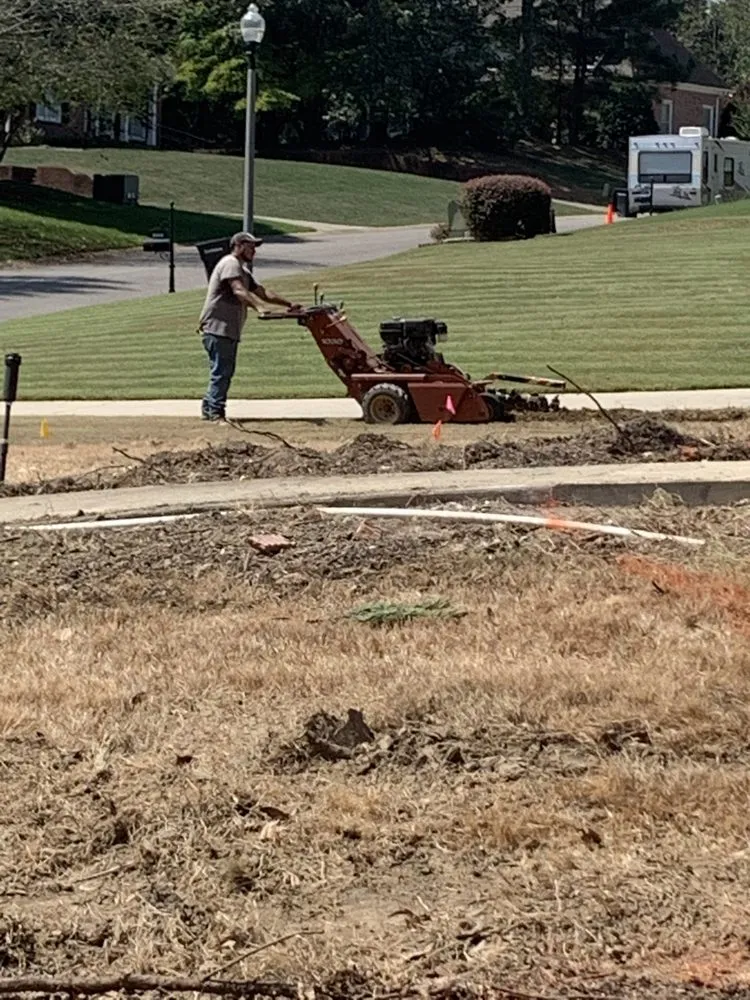 Reliable landscape design for year-round maintenance in Pelham, AL by SpyGrass Innovations