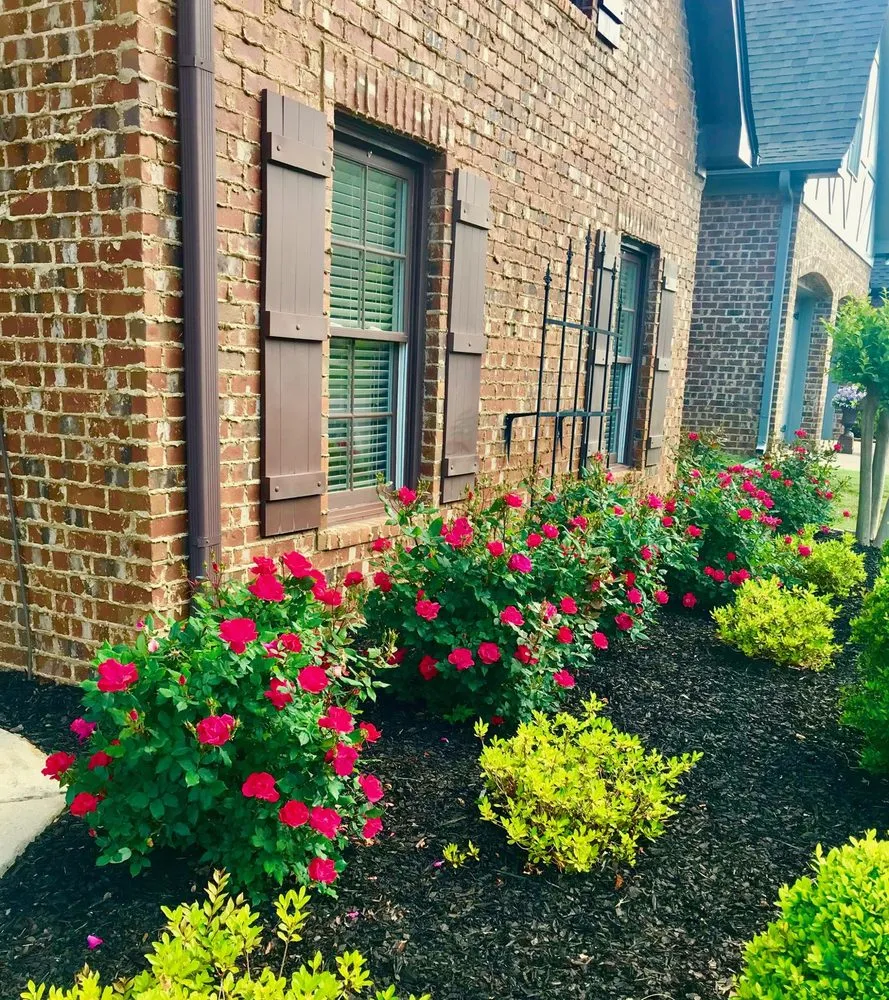 Top-rated landscape design in Pelham, AL - SpyGrass Innovations