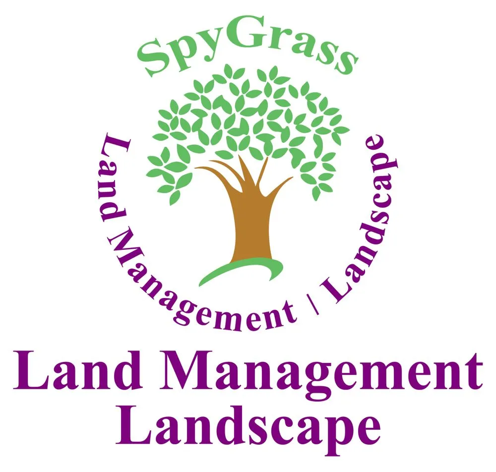 Local yard cleanup service with custom design across Pelham, AL - SpyGrass Innovations