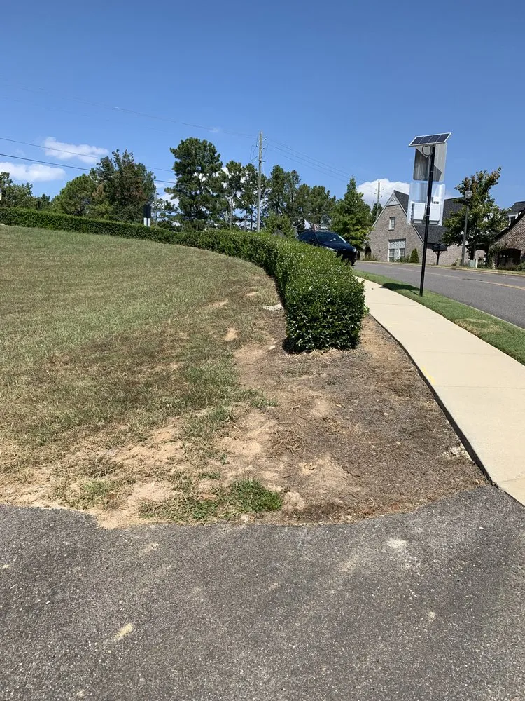 Expert landscaping services for year-round maintenance in Pelham, AL by SpyGrass Innovations