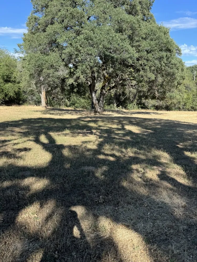 Custom landscaping services for beautiful yards in Camino, CA by Sqre edge