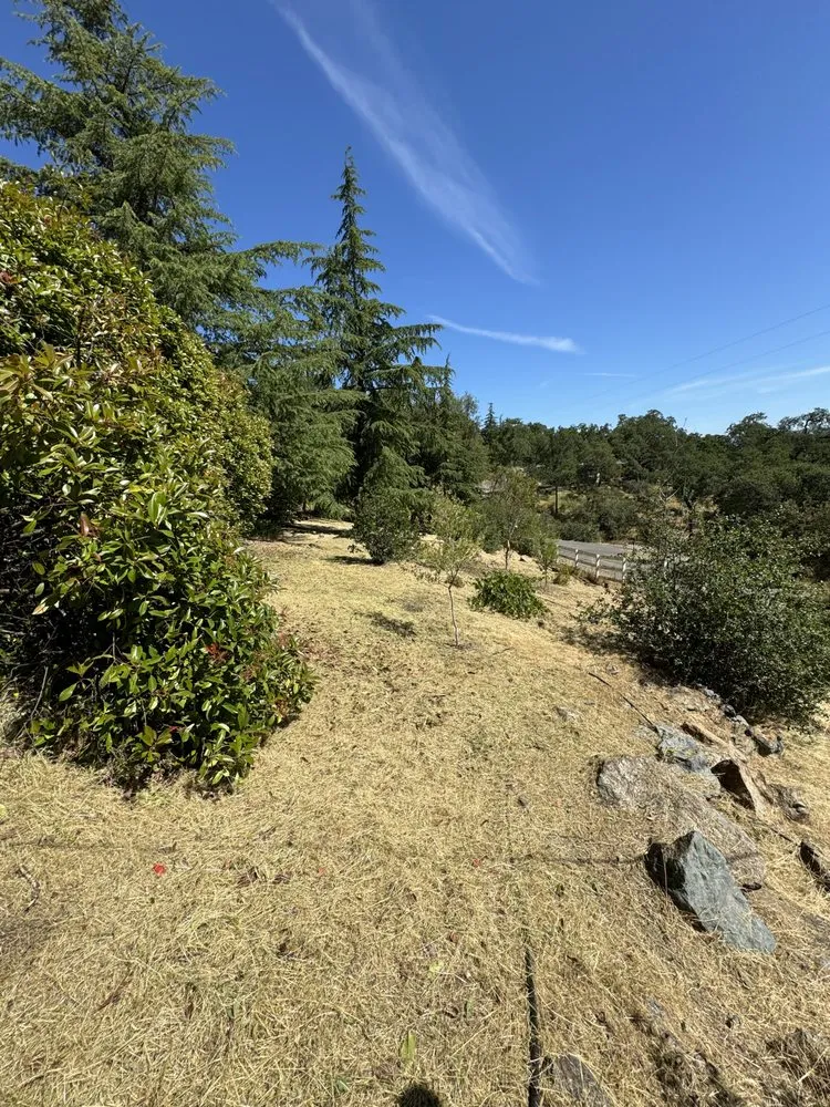 Affordable residential landscaping in Camino, CA by Sqre edge