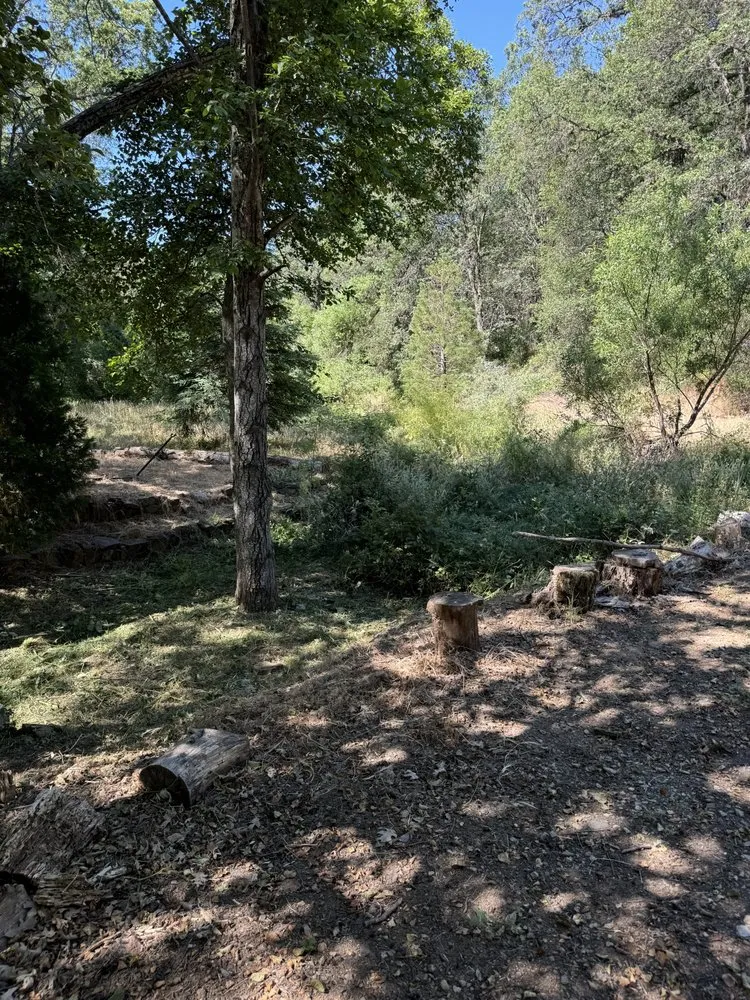 Expert lawn care service for homes in Camino, CA by Sqre edge