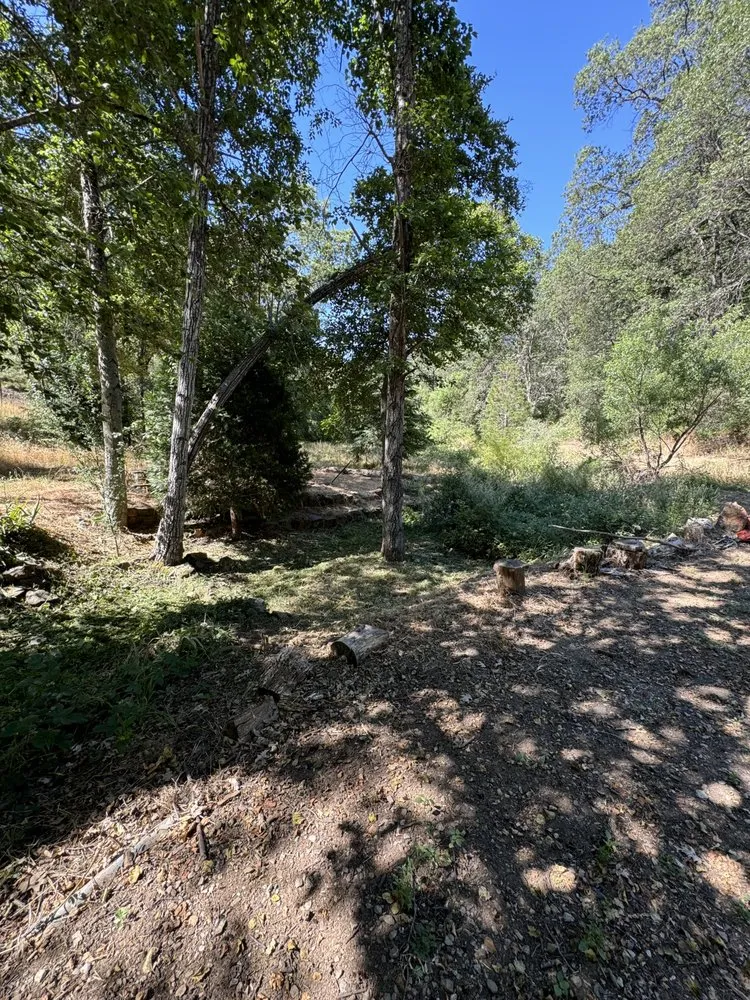 Top-rated garden landscaping for year-round maintenance across Camino, CA - Sqre edge