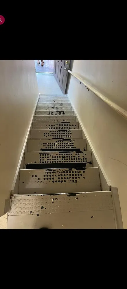 Expert yard cleanup service for year-round maintenance across Huntsville, AL - Squad Cleaners