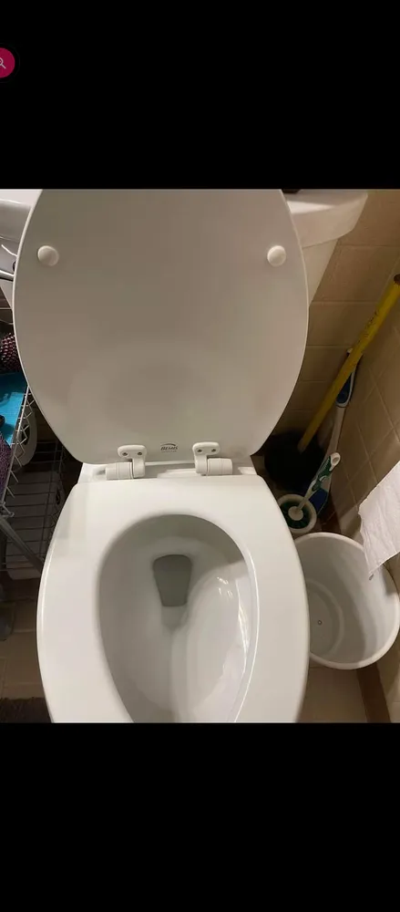 Top-rated garden landscaping in Huntsville, AL by Squad Cleaners