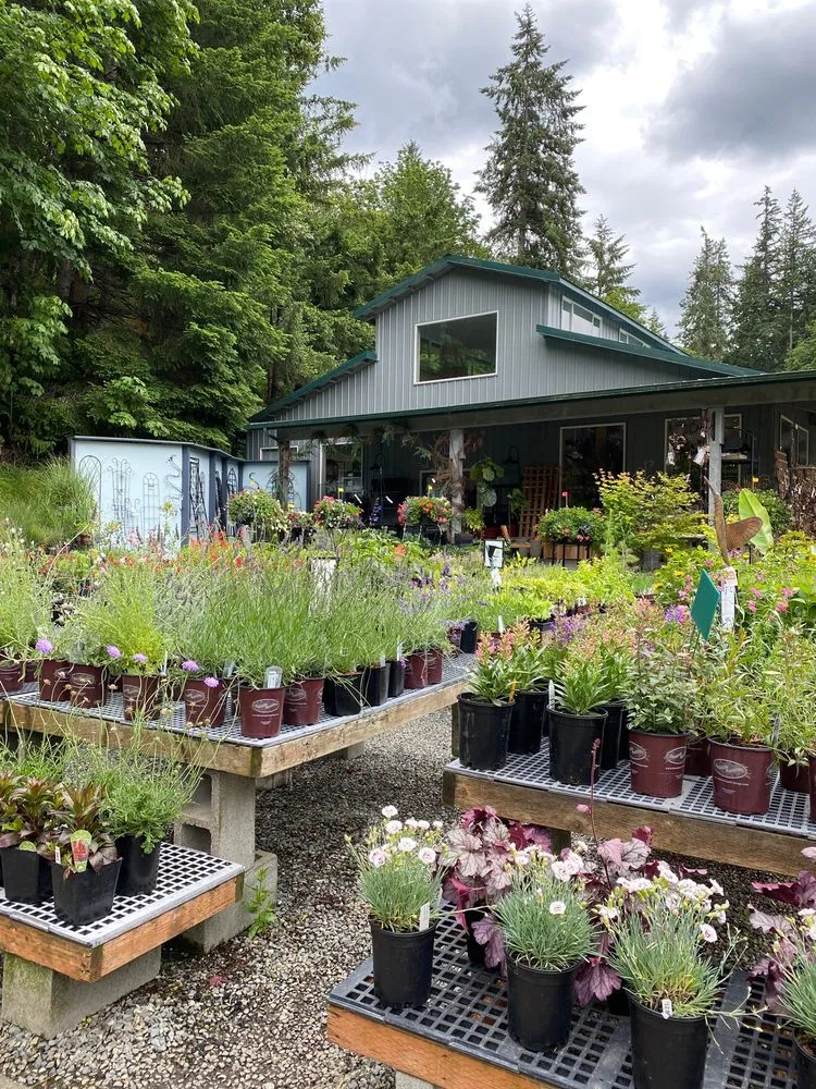 Expert residential landscaping for year-round maintenance in Issaquah, WA by Squak Mt Greenhouses & Nursery