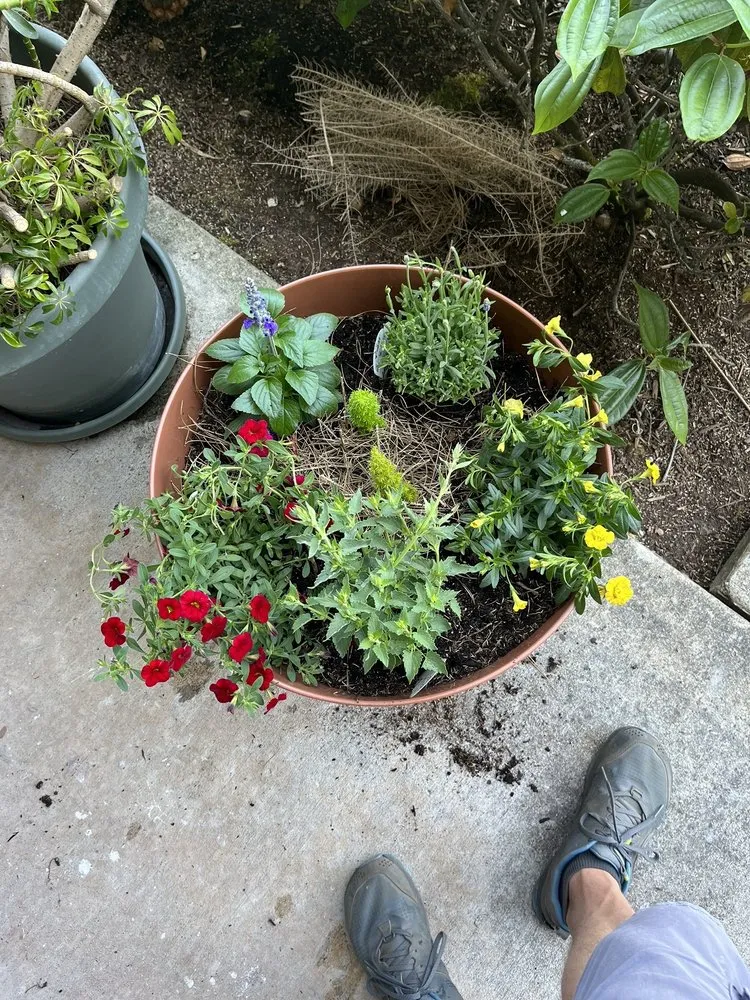 Trusted residential landscaping experts serving Issaquah, WA - Squak Mt Greenhouses & Nursery