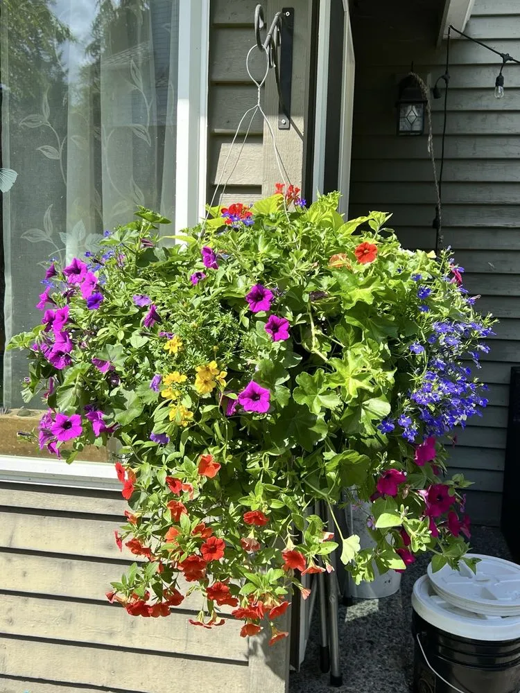 Custom landscape installation in Issaquah, WA - Squak Mt Greenhouses & Nursery